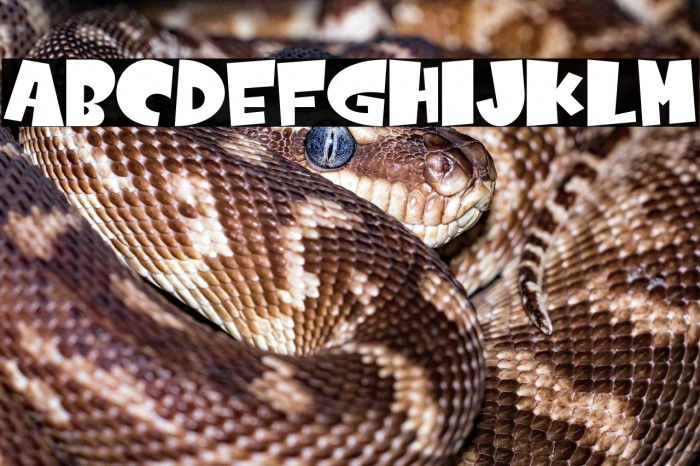 Comicartoon Regular Example 2