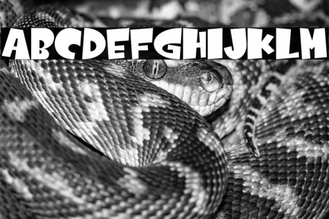 Comicartoon Regular Font examples