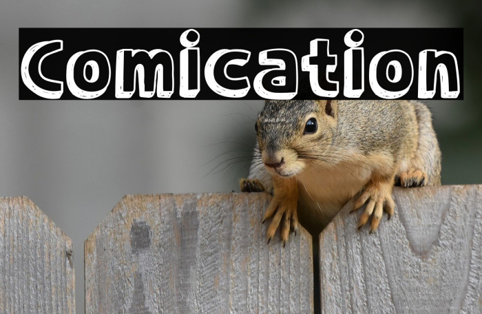 Comication Example 2