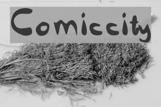Comiccity Font examples