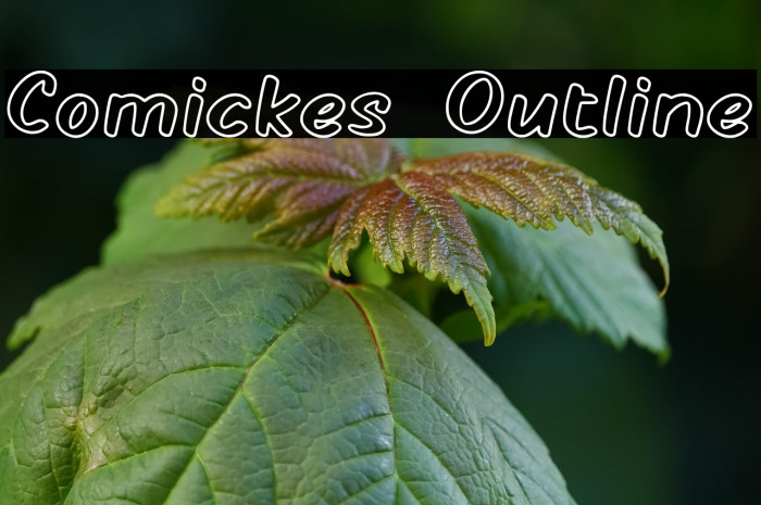 Comickes Outline Example 2