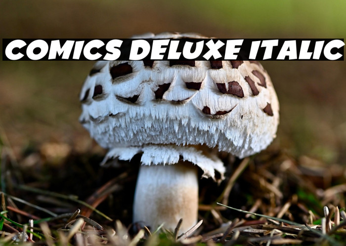 Comics Deluxe Italic Example 1