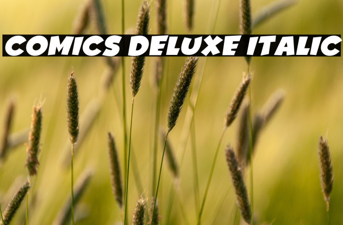 Comics Deluxe Italic Example 3