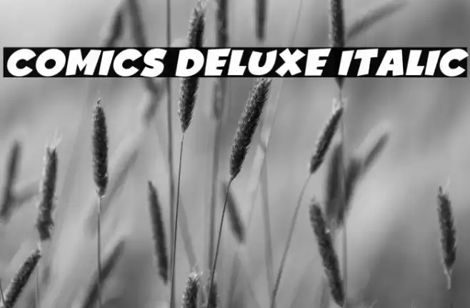 Comics Deluxe Italic Font examples