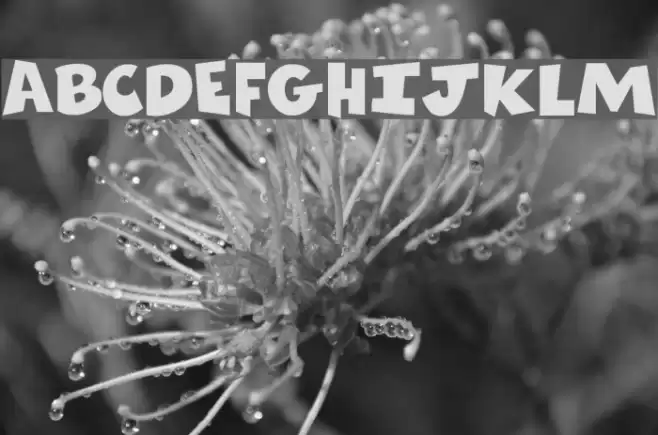 Comics Regular Font examples