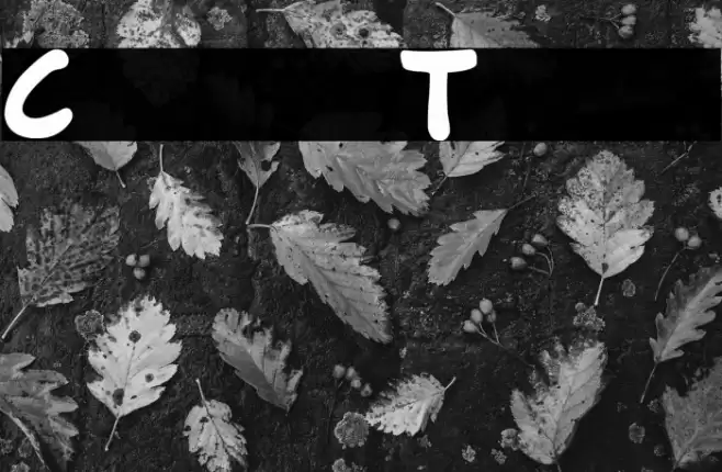 Comics Tricks Polices examples