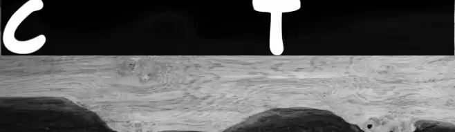 Comics Tricks Polices examples