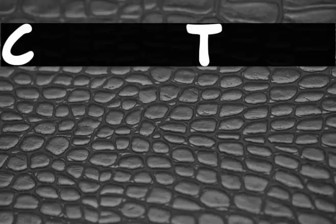 Comics Tricks Polices examples