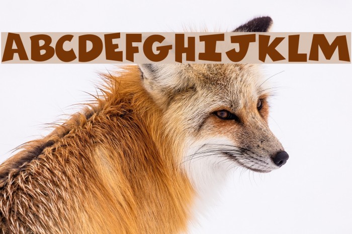 ComicsCarToon Regular Font examples