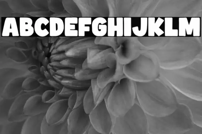 Comicy Font examples