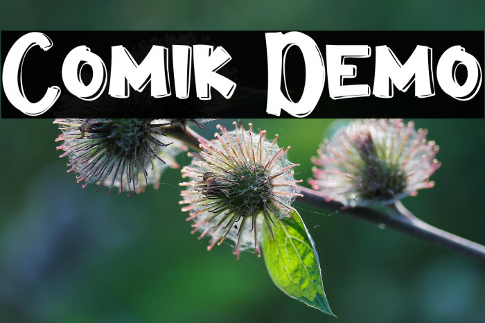 Comik Demo Example 1