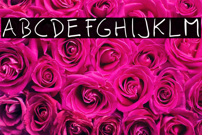 Comili Book Example 1