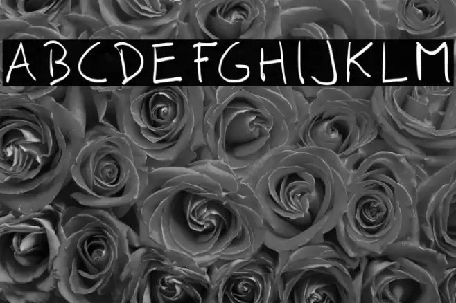 Comili Book Font examples