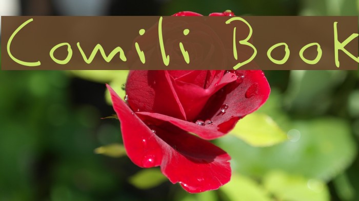 Comili Book Font examples