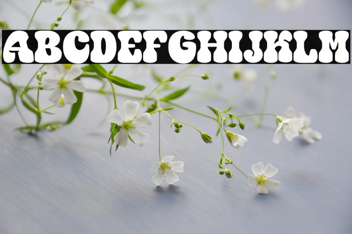 Coming Peak Personal Use Only Example 1