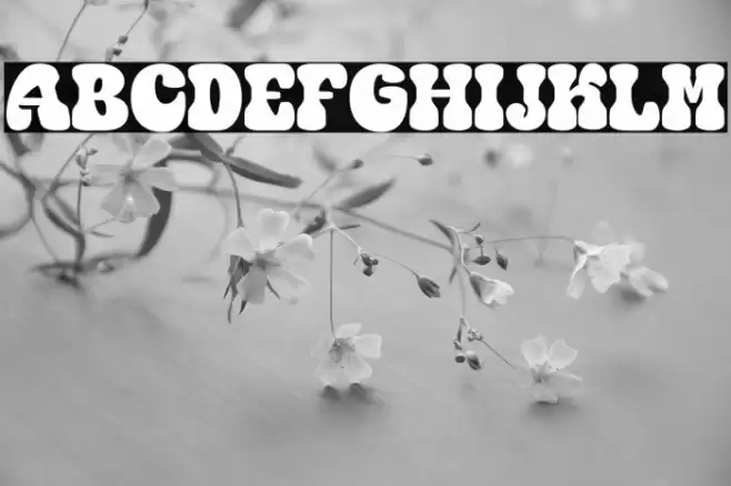 Coming Peak Personal Use Only Font examples