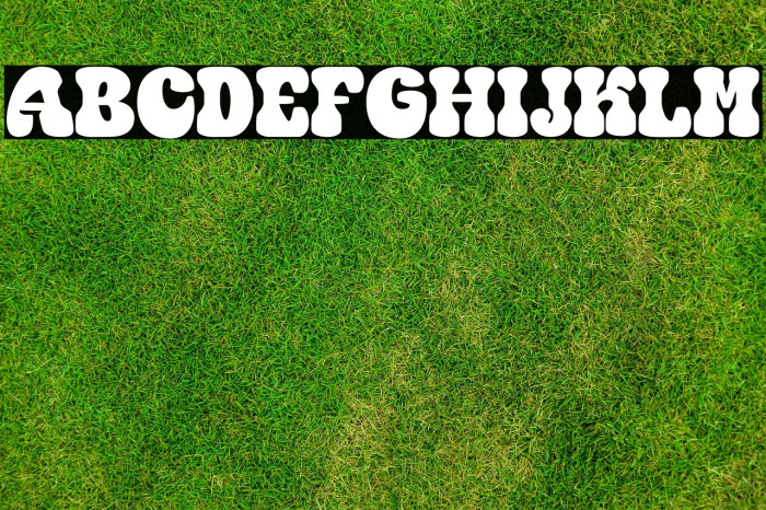 Coming Peak Personal Use Only Example 2