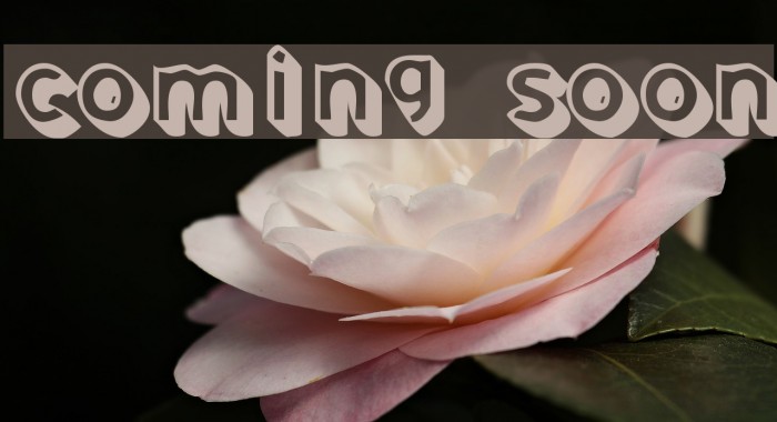 Coming Soon Font examples