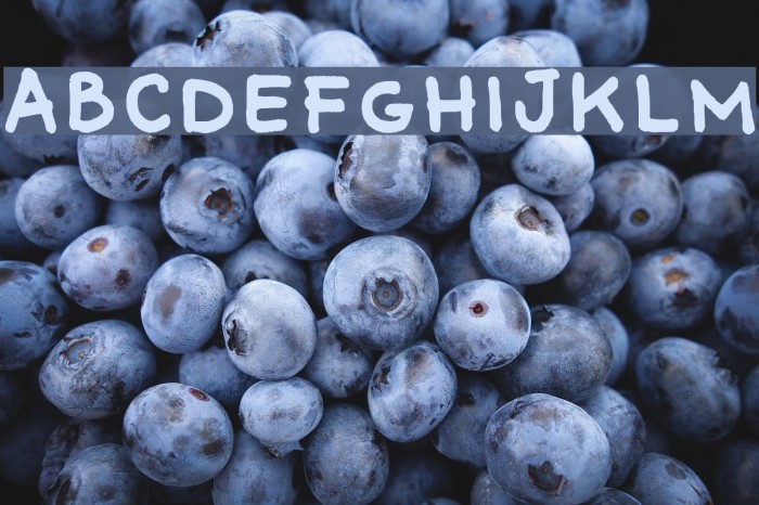 Comiquita Sans Font examples