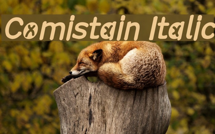 Comistain Italic Font examples