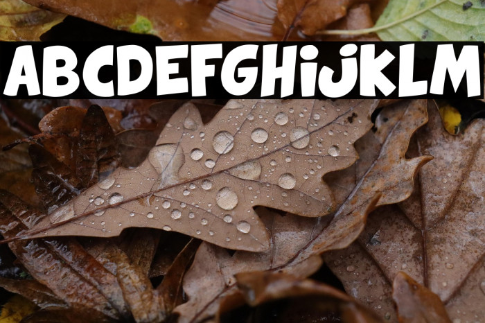 Comix Loud Example 2