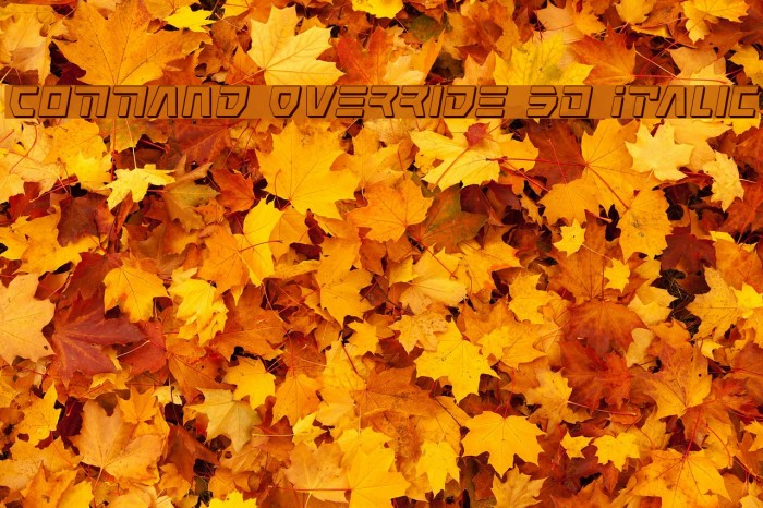 Command Override 3D Italic Font examples