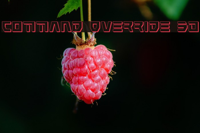 Command Override 3D Font examples