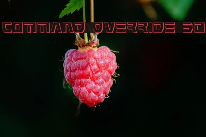 Command Override 3D Example 1