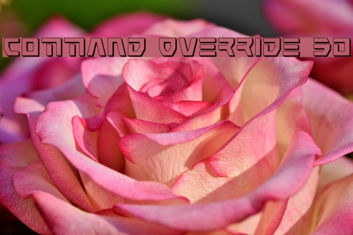 Command Override 3D Font examples