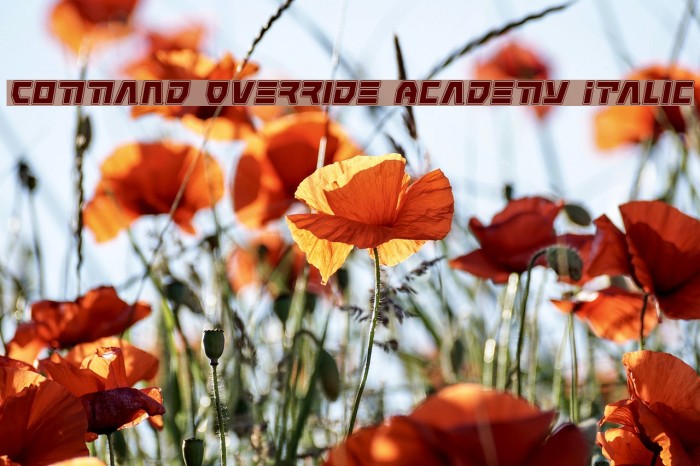 Command Override Academy Italic Font examples
