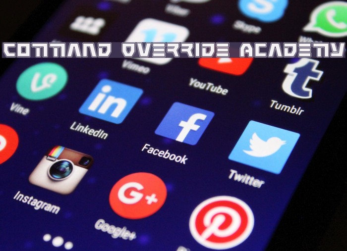 Command Override Academy Example 2