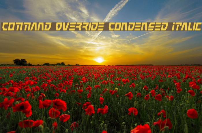 Command Override Condensed Italic Font examples
