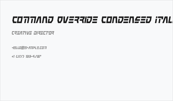 Command Override Condensed Italic Business Card