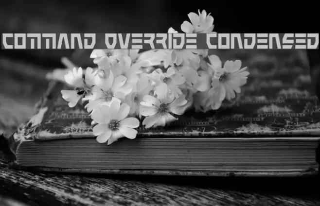 Command Override Condensed Font examples