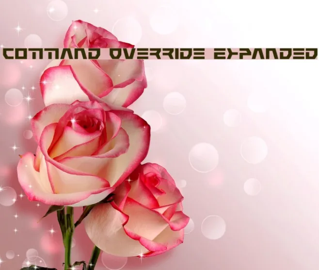 Command Override Expanded Example 2