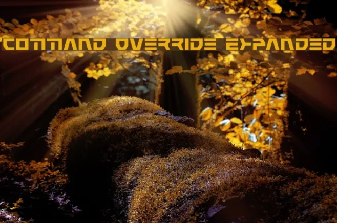 Command Override Expanded Example 3