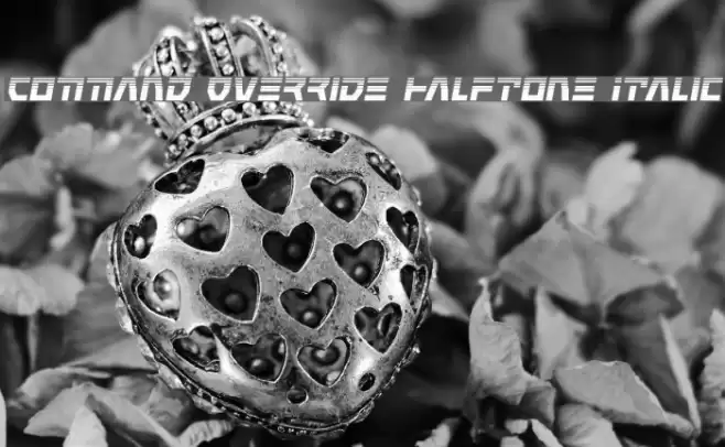 Command Override Halftone Italic Font examples