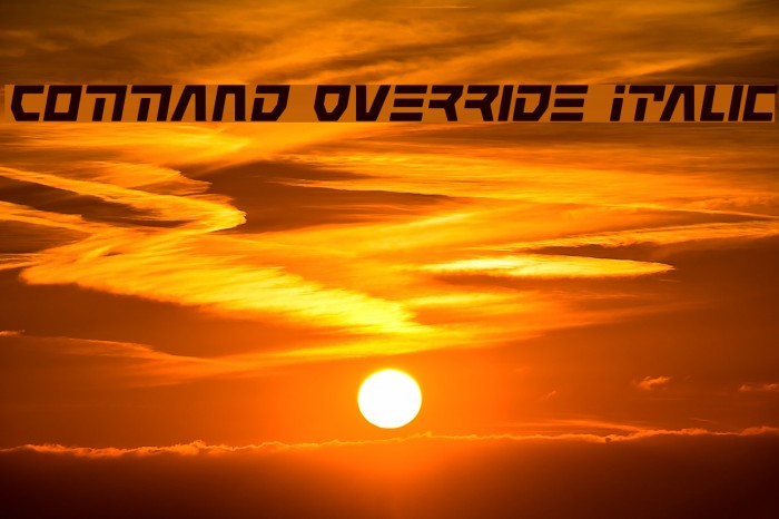 Command Override Italic Example 1