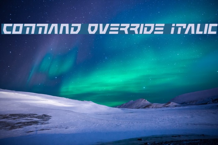 Command Override Italic Example 2