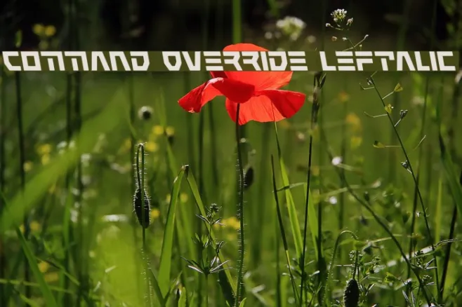 Command Override Leftalic Example 2