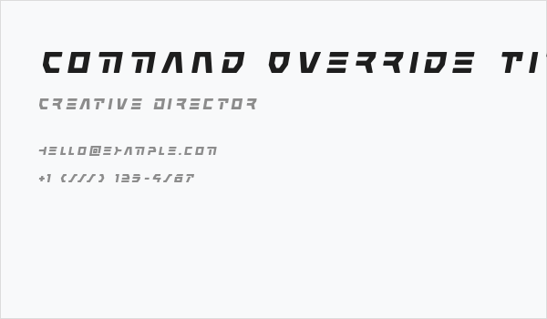 Command Override Title Italic Business Card