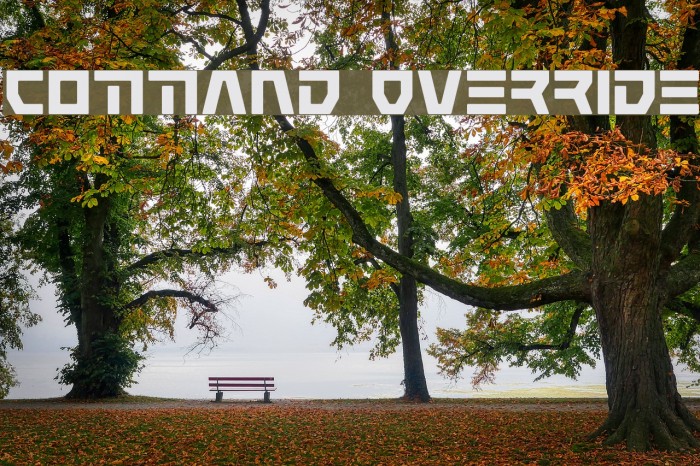 Command Override Font examples