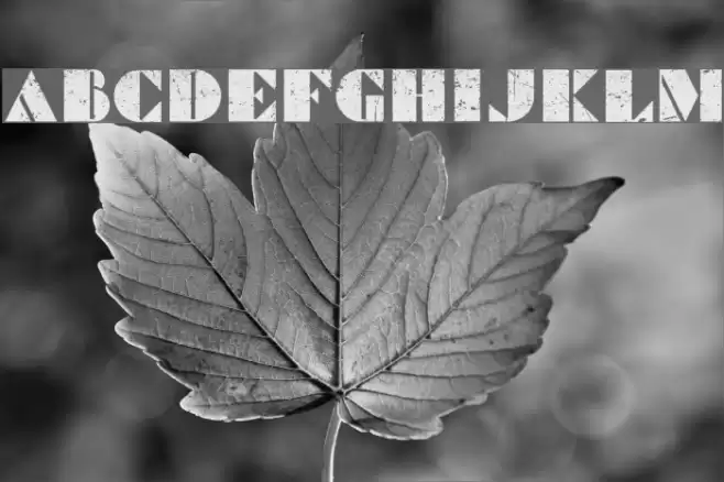 Commanders Grunged Regular Font examples