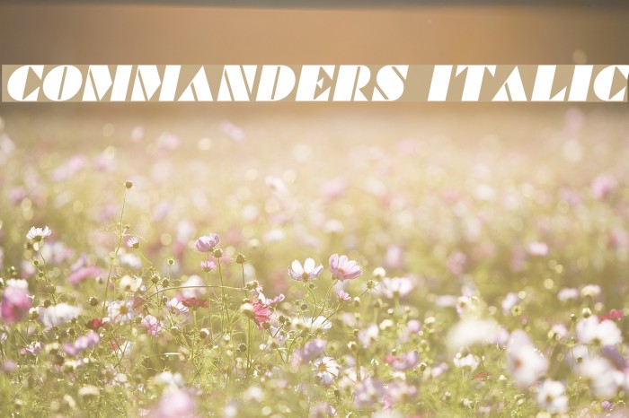 Commanders Italic Font examples