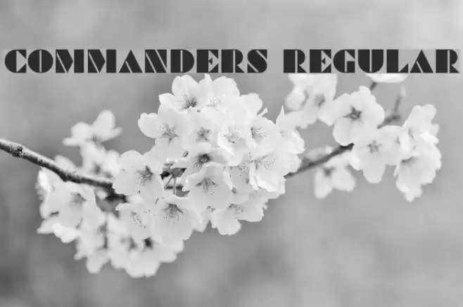 Commanders Regular Font examples