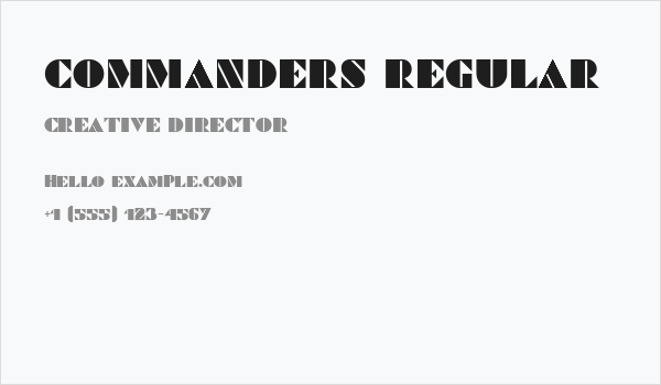 Commanders Regular Business Card