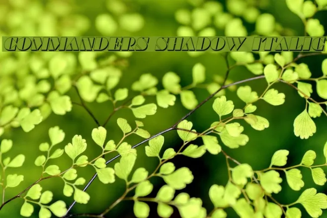 Commanders Shadow Italic Example 1