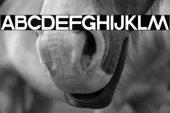 Commanders Font examples