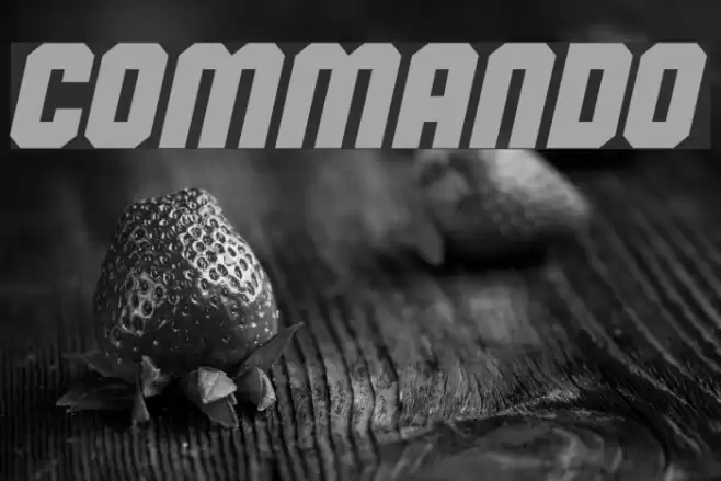 Commando Fuentes examples