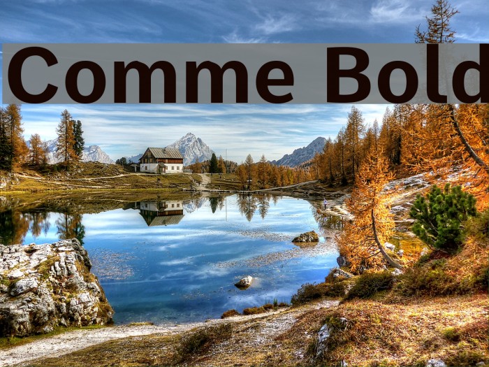 Comme Bold Fonte examples